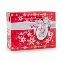 Tüte-Box - Frohes Neues Jahr!, Karton, 23 × 18 × 11 cm