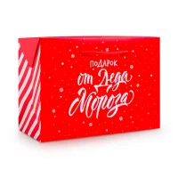 Tüte-Box - Geschenk, 28 × 20 × 13 cm