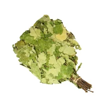 Дубовый веник для бани, длина 55-60 см.