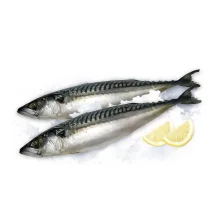 Скумбрия с головой, потрошеная, 4  кг