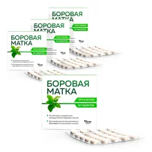 Wintergrün, 50 Tabletten х 4