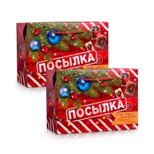 Tüte-Box - Neujahrspaket, Karton, 28 × 20 × 13 cm, 2 St.