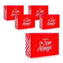 Tüte-Box - Geschenk, 28 × 20 × 13 cm, 5 St.