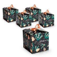 Geschenkbox - Zapfen, 12 x 12 cm, 5 St.