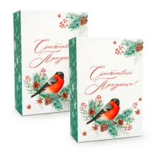 Geschenkkarton - Frohe Festtage, Karton, 16 x 23 x 7,5 cm, 2 St.