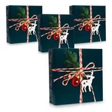 Коробка подарочная - Новогодняя посылка, картон, 26 х 26 х 8 см, 4 шт.