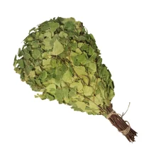 Birkenreisig für Sauna ca.55-60 cm lang