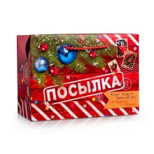 Tüte-Box - Neujahrspaket, Karton, 28 × 20 × 13 cm