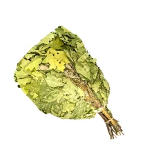 Дубовый веник с мятой для бани, длина 55 - 60 см