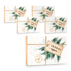 Подарочная коробка - С Новым Годом, картон, 16 х 23 х 7,5 см, 5 шт.