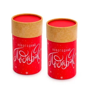 Geschenkbox-Röhre - Neujahrsgeschenk, Karton, 8 x 14,5 cm, 2 St.