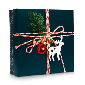 Коробка подарочная - Новогодняя посылка, картон, 26 х 26 х 8 см