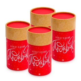  Geschenkbox-Röhre - Neujahrsgeschenk, Karton, 8 x 14,5 cm, 4 St.