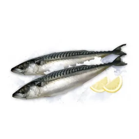 Скумбрия с головой, потрошеная, 4  кг