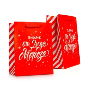 Пакет подарочный - Подарок от Деда Мороза, 18 × 23 × 10 см, 2 шт.