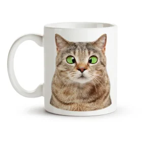 Кружка - дизайн Удивлённый кот, керамика, 330 мл