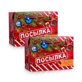 Пакет‒коробка - Новогодняя посылка, картон, 28 × 20 × 13 см, 2 шт. Пакет‒коробка - Новогодняя посылка, картон, 28 × 20 × 13 см, 2 шт.