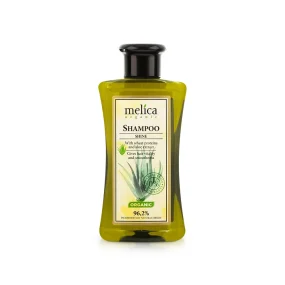 Шампунь - Блеск, с протеинами пшеницы и экстрактом алоэ, Melica Organic, 300 мл Шампунь - Блеск, с протеинами пшеницы и экстрактом алоэ, Melica Organic, 300 мл