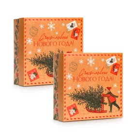 Geschenkbox - Neujahrspost, Karton, 17 x 17 x 7 cm, 2 St.