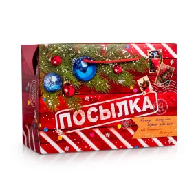 Пакет‒коробка - Новогодняя посылка, картон, 28 × 20 × 13 см Пакет‒коробка - Новогодняя посылка, картон, 28 × 20 × 13 см