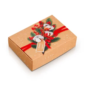Geschenkbox - Paket, Karton, 21 × 15 × 5 cm Geschenkbox - Paket, Karton, 21 × 15 × 5 cm