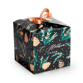 Geschenkbox - Zapfen, 12 x 12 cm