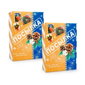 Geschenkkarton - Paket, Karton, 16 x 23 x 7,5 cm, 2 St.