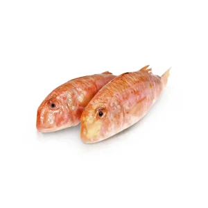 Rote Meerbarbe, nicht ausgenommen, mit Kopf, tietgefroren, 1 kg