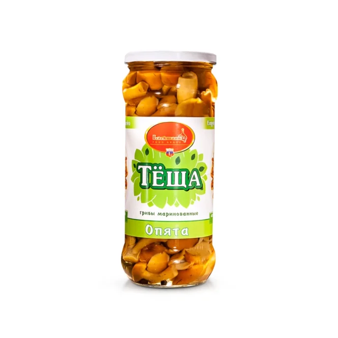 Stockschwämmchen, in würzigem Aufguss, mit Knoblauch, 580 ml