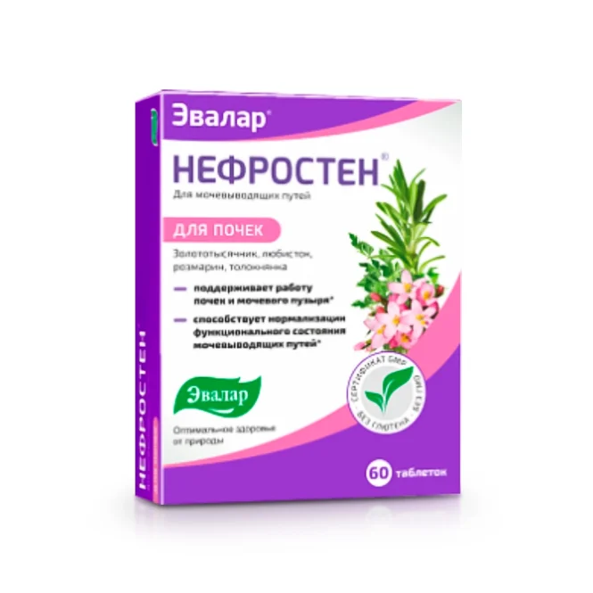 Nephrosten, Evalar, 60 Tabletten