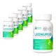 Herzgespannkraut + Mg und Vitaminen B6 und B12, 180 Tabletten х 6