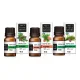 Set ätherischer Öle - Nadelduft, 10 ml x 3 Stk.