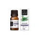Ätherisches Rosmarinöl, Flora Secret, 10 ml